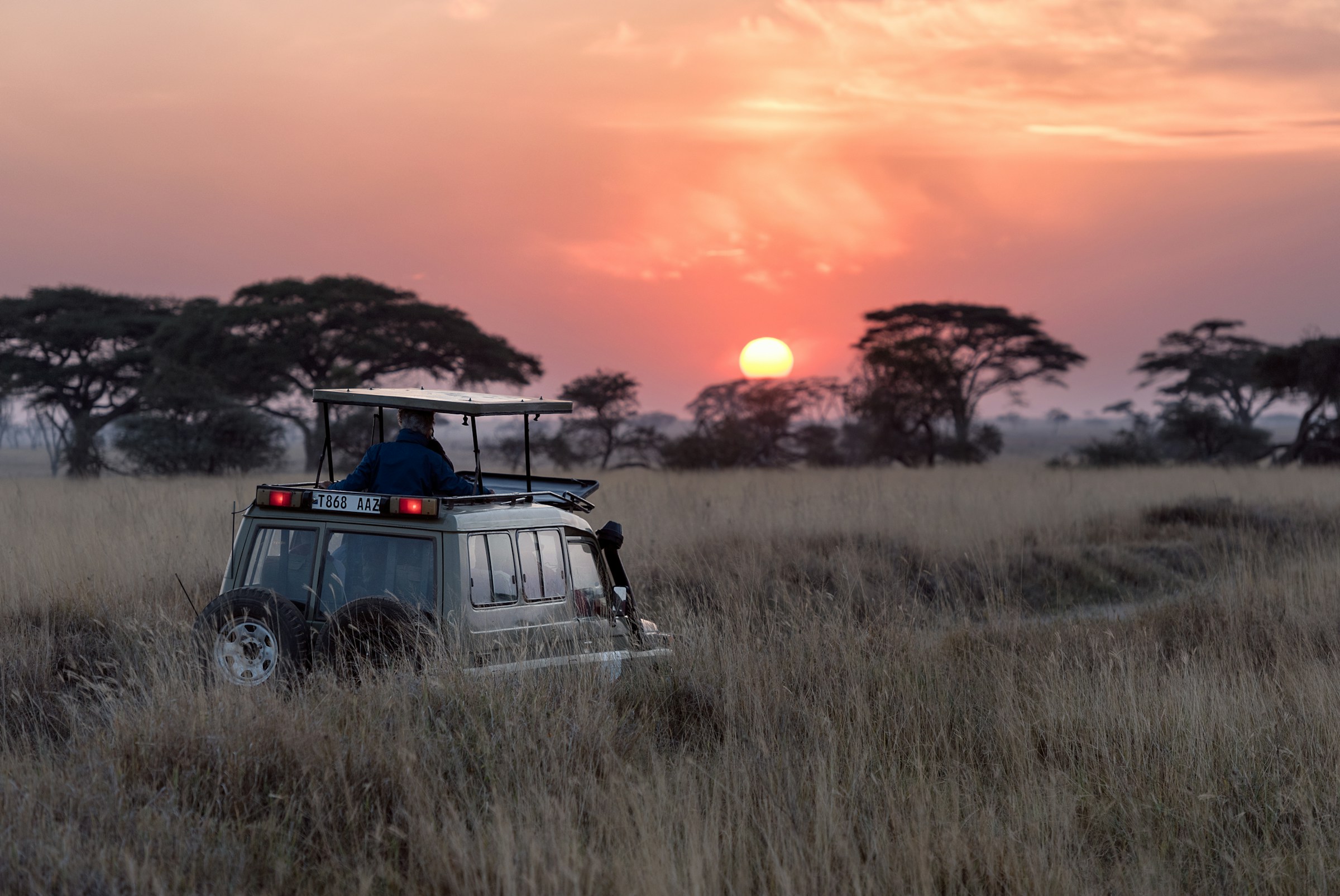 Atmospheric African travel landscape