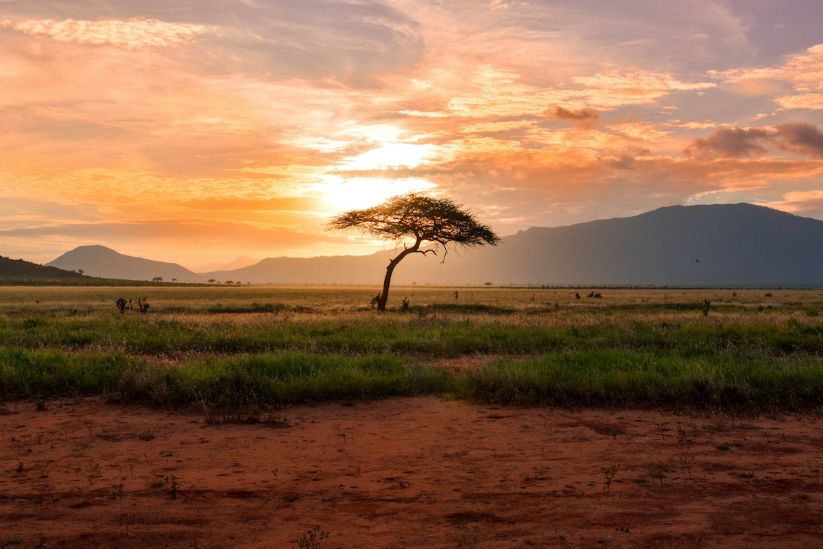 Atmospheric African travel landscape